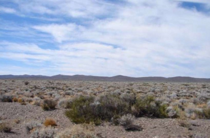 Foto Campo en Venta en Colan Conhue, Chubut - U$D 1.100.000 - pix94615376 - BienesOnLine