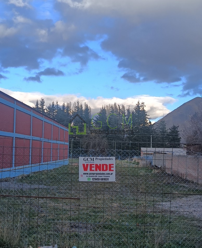 VENTA